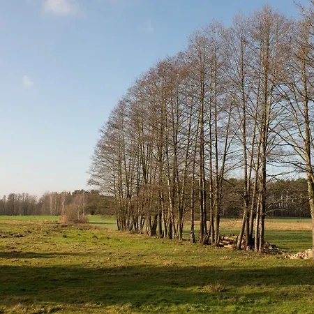 Samosiejka - Lewy Brzeg Narwi *
